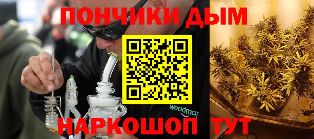 Бошки Шишки Выборг